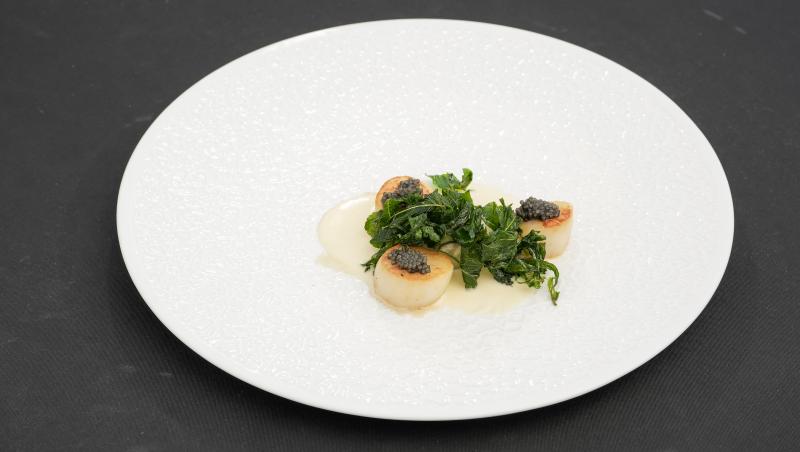 Chefi la cuțite, 17 noiembrie 2025. Ce s-a întâmplat în ediția 2 din sezonul 16. Ce concurenți au venit și ce au gătit