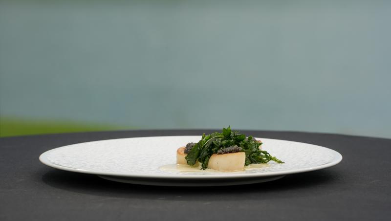 Chefi la cuțite, 17 noiembrie 2025. Ce s-a întâmplat în ediția 2 din sezonul 16. Ce concurenți au venit și ce au gătit