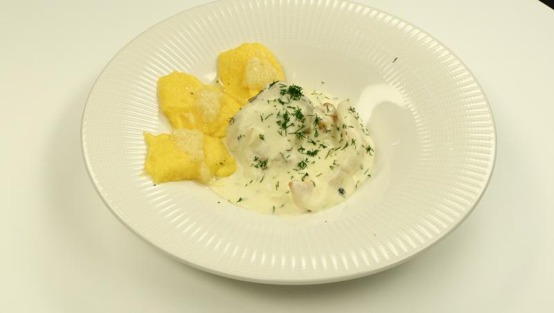 Chefi la cuțite, 19 noiembrie 2025. Ce s-a întâmplat în ediția de azi. Concurentul care a primit cuțitul de aur. Ce a gătit