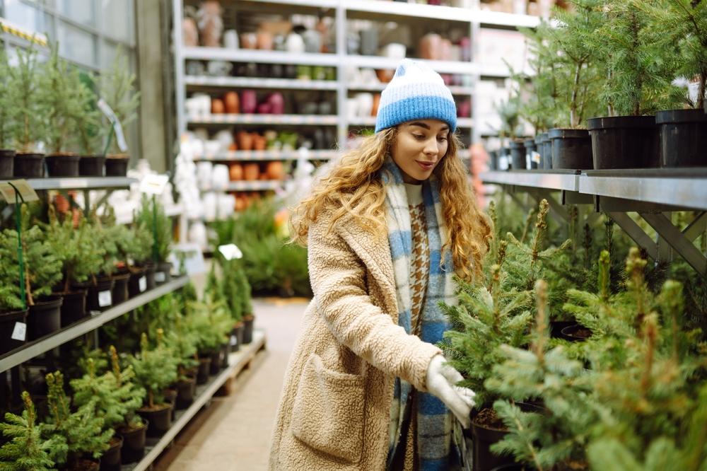 tânără care alege un brad în ghiveci din magazin