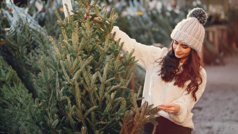 Au apărut brazii naturali în magazinele din țară. Cât costă și cum se aleg, de fapt