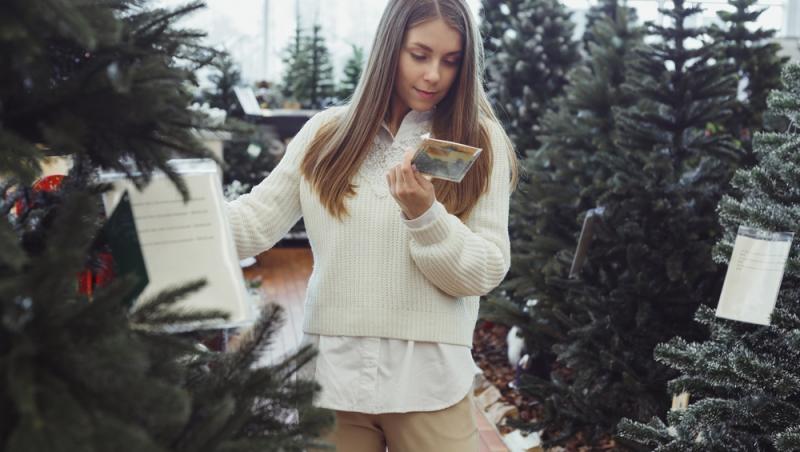 Au apărut brazii naturali în magazinele din țară. Cât costă și cum se aleg, de fapt