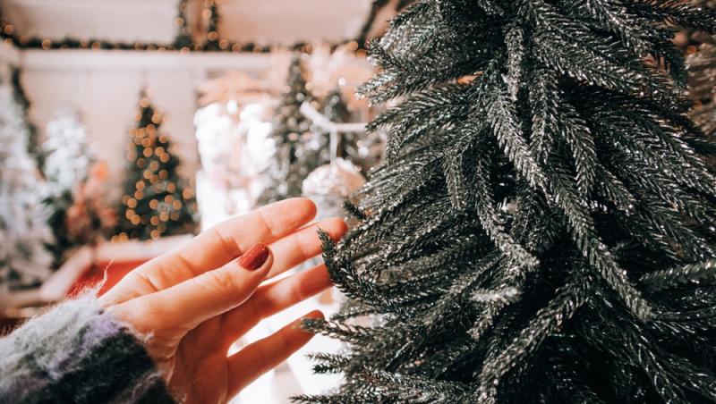 Au apărut brazii naturali în magazinele din țară. Cât costă și cum se aleg, de fapt