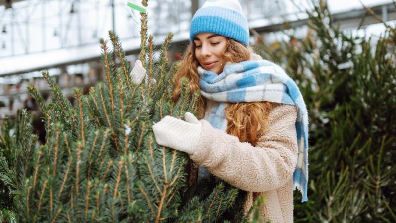 Au apărut brazii naturali în magazinele din țară. Cât costă și cum se aleg, de fapt