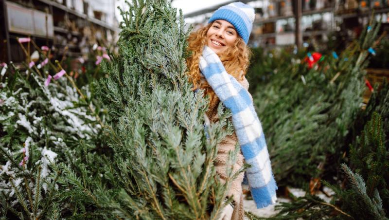 Au apărut brazii naturali în magazinele din țară. Cât costă și cum se aleg, de fapt