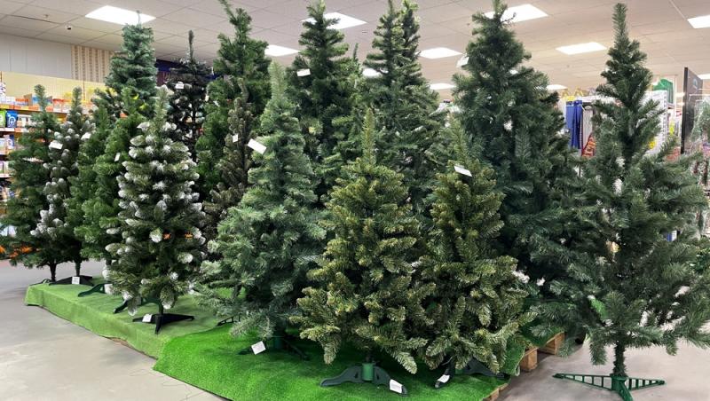 Au apărut brazii naturali în magazinele din țară. Cât costă și cum se aleg, de fapt