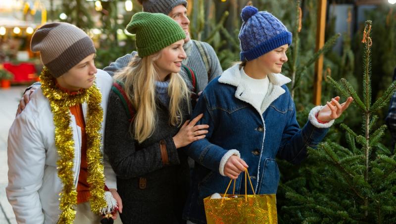 Au apărut brazii naturali în magazinele din țară. Cât costă și cum se aleg, de fapt