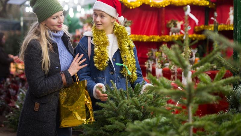 Au apărut brazii naturali în magazinele din țară. Cât costă și cum se aleg, de fapt