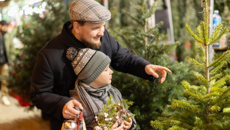 Au apărut brazii naturali în magazinele din țară. Cât costă și cum se aleg, de fapt