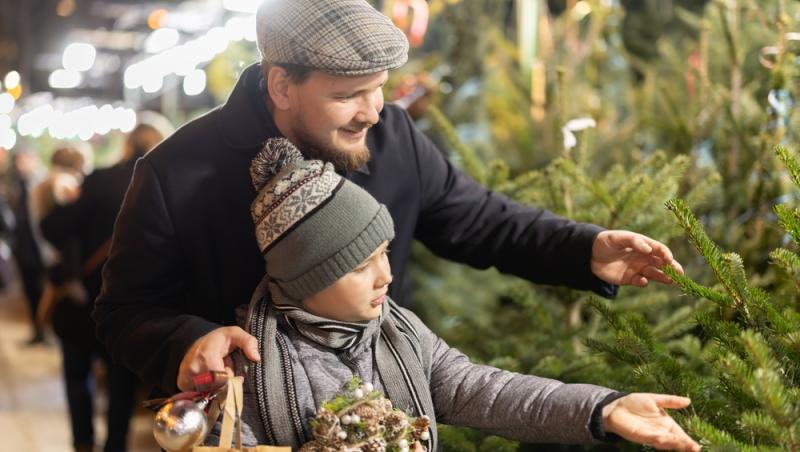 Au apărut brazii naturali în magazinele din țară. Cât costă și cum se aleg, de fapt