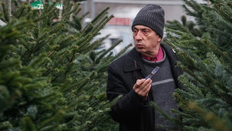 Au apărut brazii naturali în magazinele din țară. Cât costă și cum se aleg, de fapt