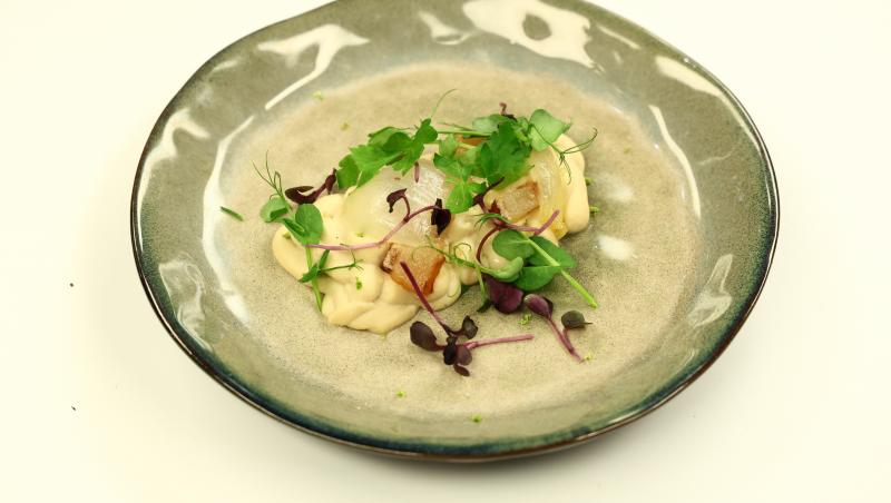 Chefi la cuțite, 23 noiembrie 2025. Ce s-a întâmplat în toată ediția și ce au gătit concurenții. Ce povești de viață au unii