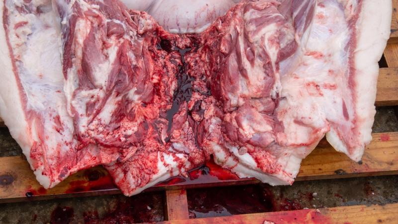 Este bine sau nu să bagi carnea proaspătă imediat la congelator. Ce recomandă Chef Ștefan Popescu