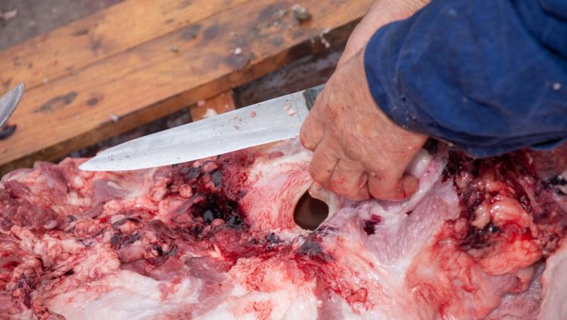 Este bine sau nu să bagi carnea proaspătă imediat la congelator. Ce recomandă Chef Ștefan Popescu