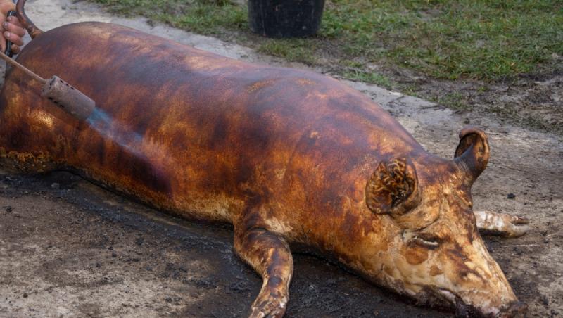 Este bine sau nu să bagi carnea proaspătă imediat la congelator. Ce recomandă Chef Ștefan Popescu