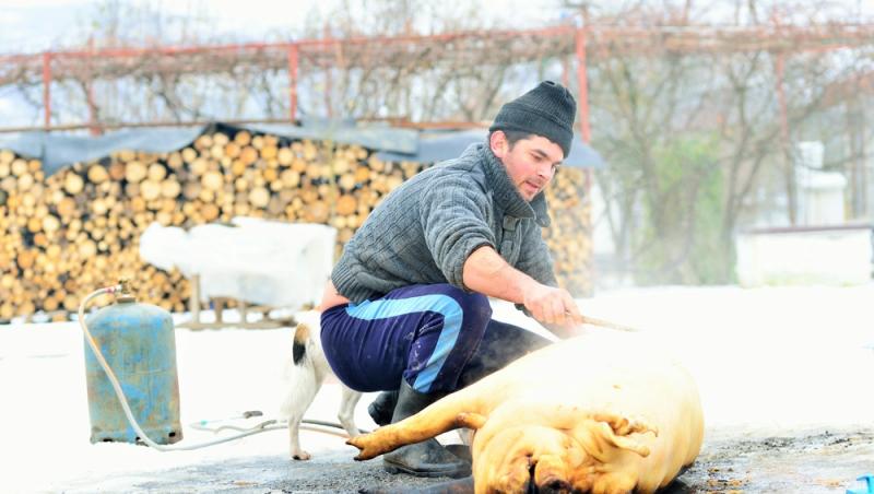 Este bine sau nu să bagi carnea proaspătă imediat la congelator. Ce recomandă Chef Ștefan Popescu