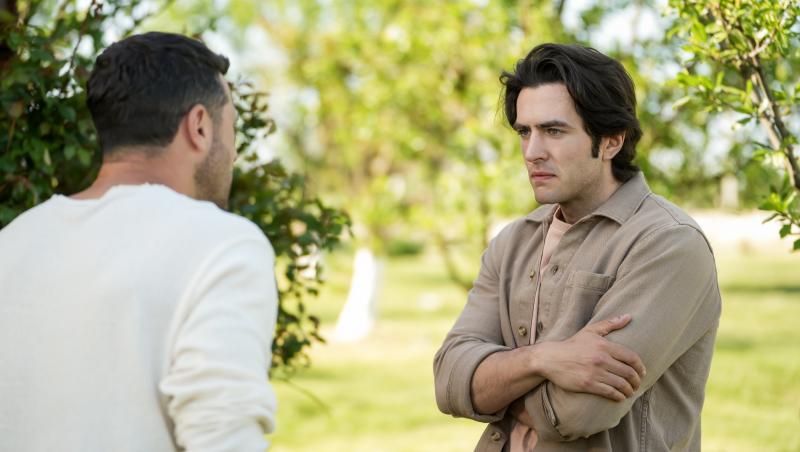 Iubire cu parfum de lavandă, rezumat episoade 31, 32 și 33, 21 noiembrie 2025. Chanela îi face concurență Lăcrămioarei la primărie