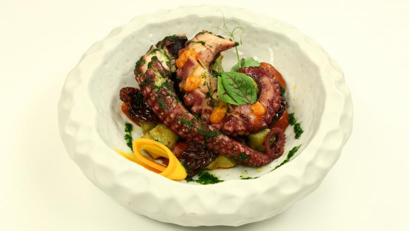 Chefi la cuțite, 24 noiembrie 2025. Ce preparate speciale i-au cucerit pe jurați și i-au trimis pe concurenți direct în bootcamp