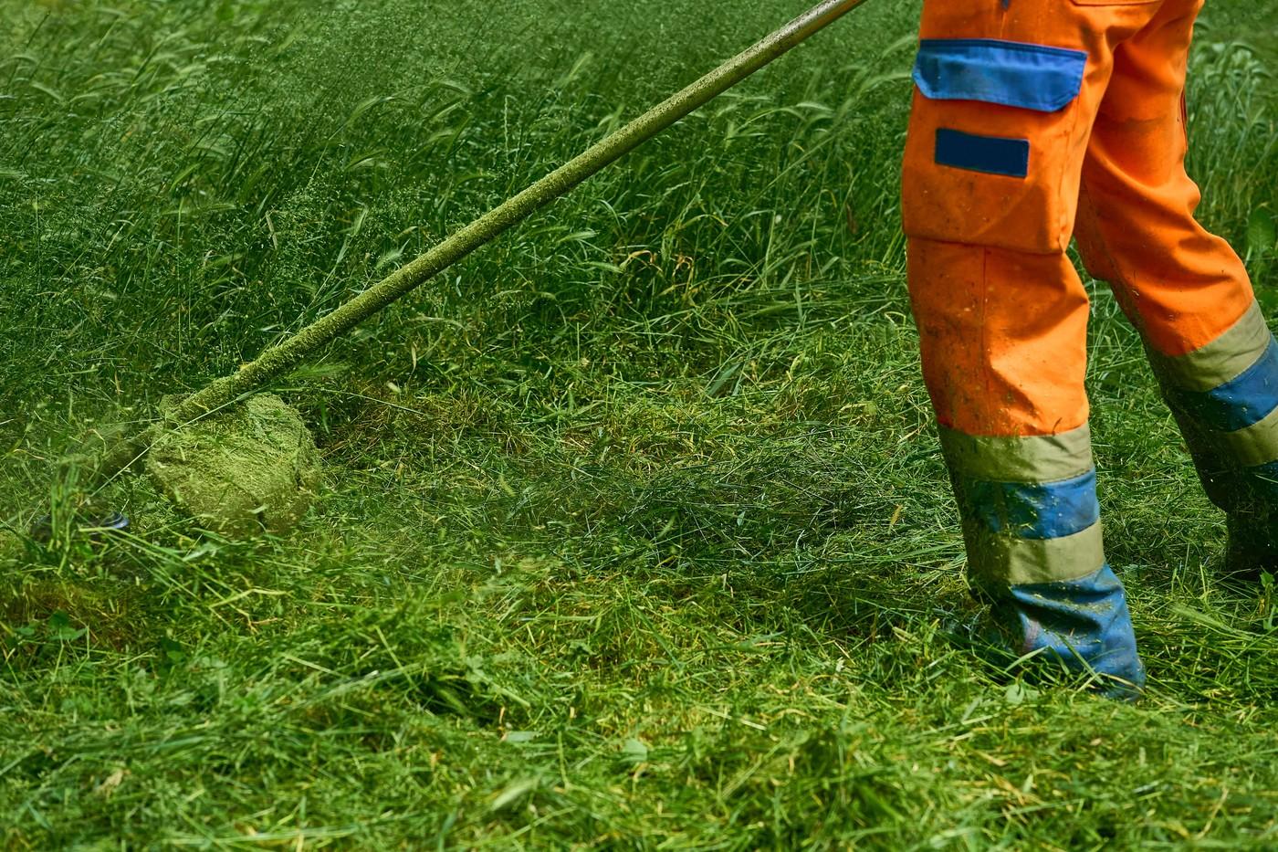 Un muncitor tundea iarba atunci când a făcut o descoperire uluitoare. Peste ce comoară a dat