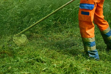 Un muncitor tundea iarba atunci când a făcut o descoperire uluitoare. Peste ce comoară a dat