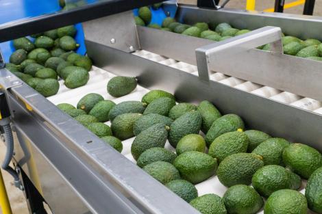 Cum se folosește avocado în industria alimentară și în afara ei. Descoperă ce alte roluri poate avea acest fruct