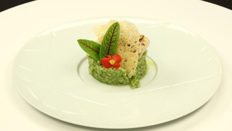 Chefi la cuțite, 26 noiembrie 2025. Chef Ștefan Popescu a oferit cuțitul de aur! Cine l-a primit și cine s-a făcut remarcat astăzi