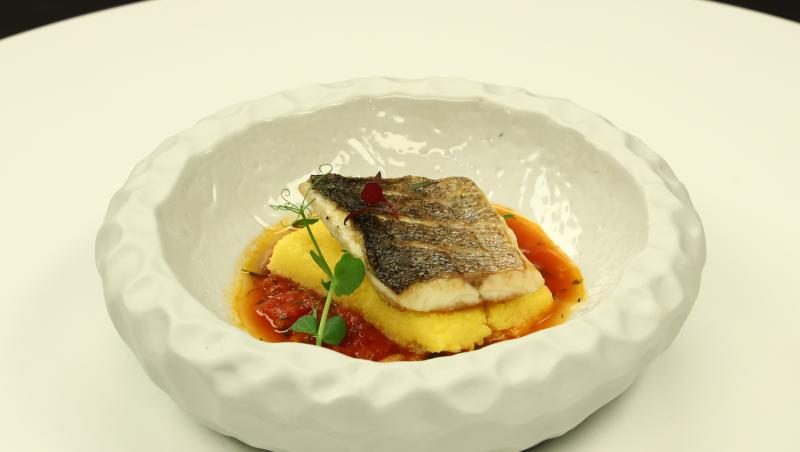 Chefi la cuțite, 26 noiembrie 2025. Chef Ștefan Popescu a oferit cuțitul de aur! Cine l-a primit și cine s-a făcut remarcat astăzi