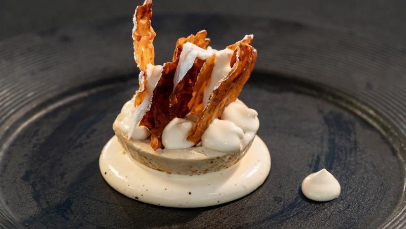 Chefi la cuțite, 26 noiembrie 2025. Chef Ștefan Popescu a oferit cuțitul de aur! Cine l-a primit și cine s-a făcut remarcat astăzi