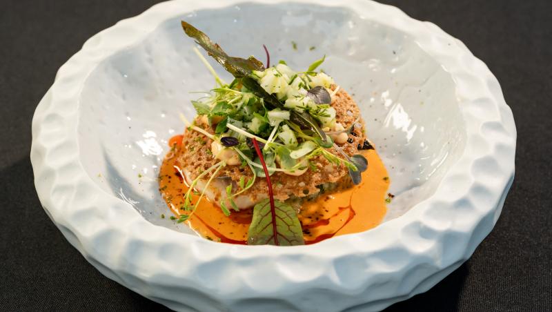 Chefi la cuțite, 26 noiembrie 2025. Chef Ștefan Popescu a oferit cuțitul de aur! Cine l-a primit și cine s-a făcut remarcat astăzi