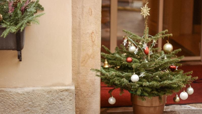 În ce zile din luna decembrie este bine să împodobești bradul. Este modul în care poți atrage prosperitatea și liniștea în familie