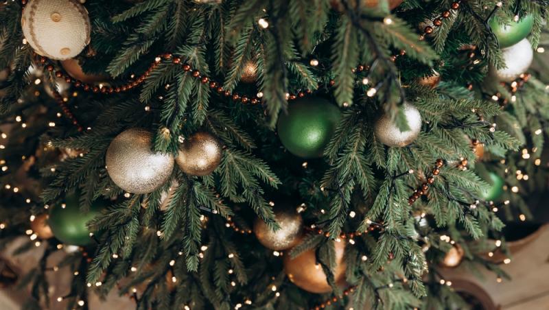 În ce zile din luna decembrie este bine să împodobești bradul. Este modul în care poți atrage prosperitatea și liniștea în familie