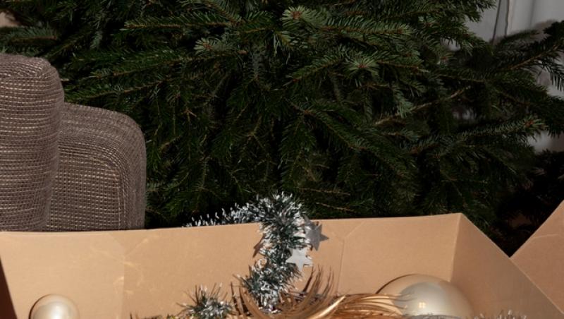 În ce zile din luna decembrie este bine să împodobești bradul. Este modul în care poți atrage prosperitatea și liniștea în familie