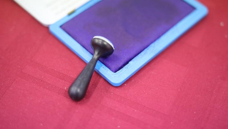 Cum va arăta buletinul de vot la alegerile pentru Primăria Capitalei. Scrutinul are loc pe 7 decembrie 2025