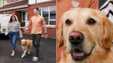 Un cățel a devenit erou după ce și-a salvat stăpânul de la moarte. Cum a reușit Polly să facă asta