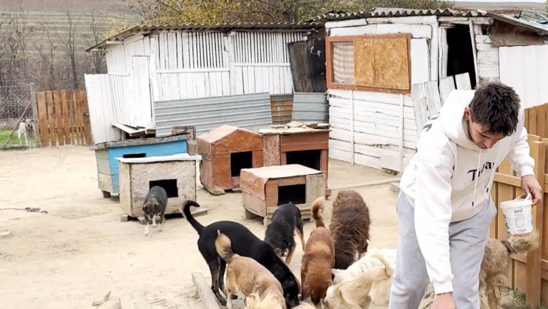 Maria și Cristian, câștigătorii sezonului 11 Mireasa, detalii despre viața lor. Când va naște tânăra și unde se vor stabili