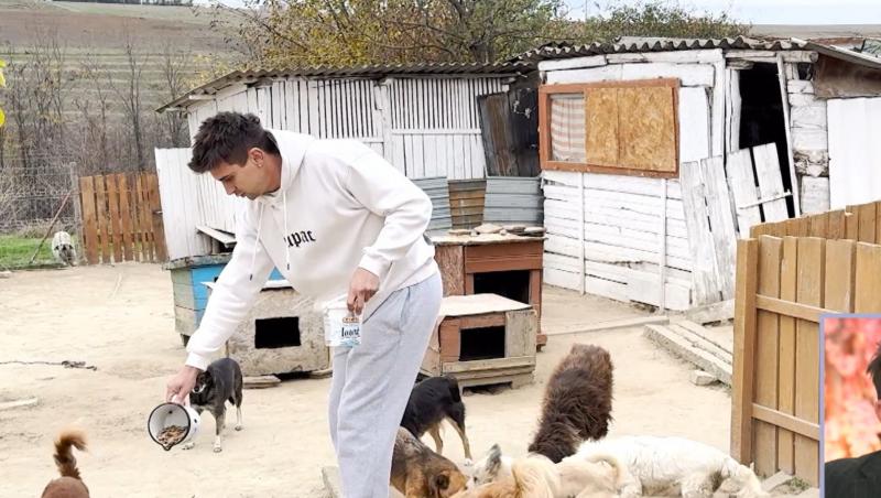 Maria și Cristian, câștigătorii sezonului 11 Mireasa, detalii despre viața lor. Când va naște tânăra și unde se vor stabili