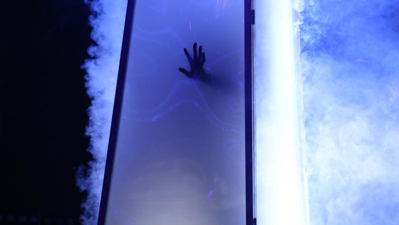 The Ticket, 29 noiembrie 2025. Ce s-a întâmplat în ediția 13 a talent show-ului. Cine a reușit să o impresioneze pe Delia