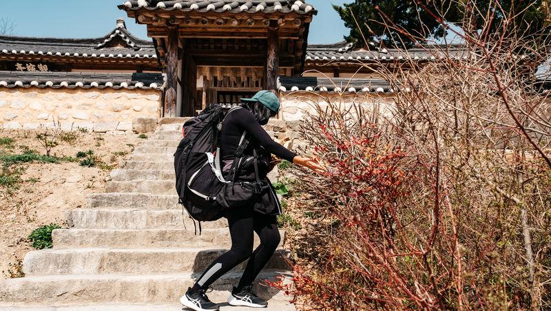 Asia Express sezonul 8, 3 noiembrie 2025. Echipele s-au reunit. Cine a ajuns pe primul loc la Irina Fodor. Ce veste au primit