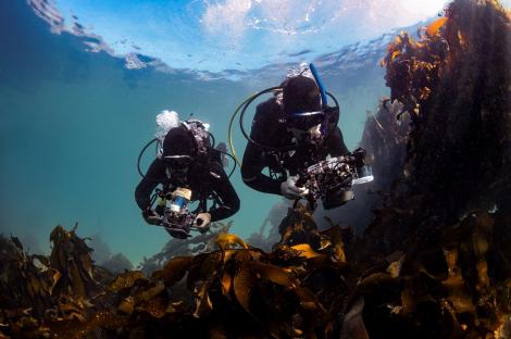 Baza subacvatică unde oamenii pot locui săptămâni întregi. La ce adâncime record ar putea fi construită