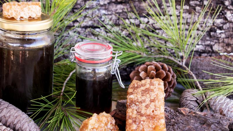 Mierea albastră: cum este obținută. Ce beneficii are acest superaliment