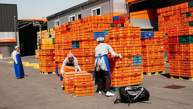 Asia Express sezonul 8, 4 noiembrie 2025. Ce veste au primit concurenții de la Irina Fodor în timp ce își căutau cazare: „Nu cred”