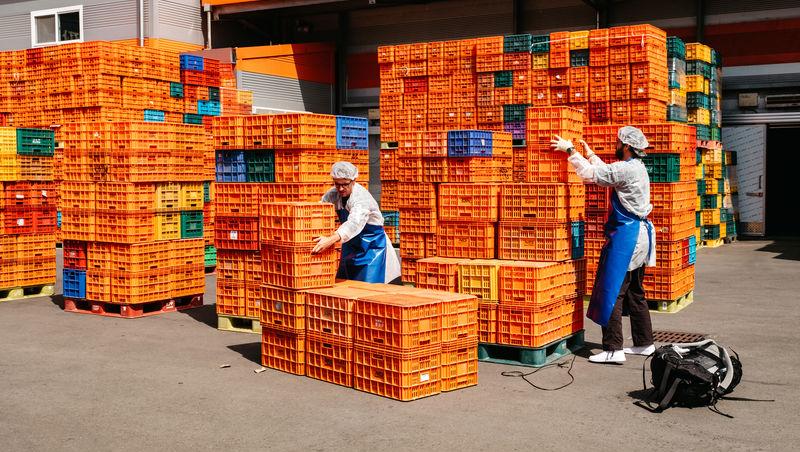 Asia Express sezonul 8, 4 noiembrie 2025. Ce veste au primit concurenții de la Irina Fodor în timp ce își căutau cazare: „Nu cred”