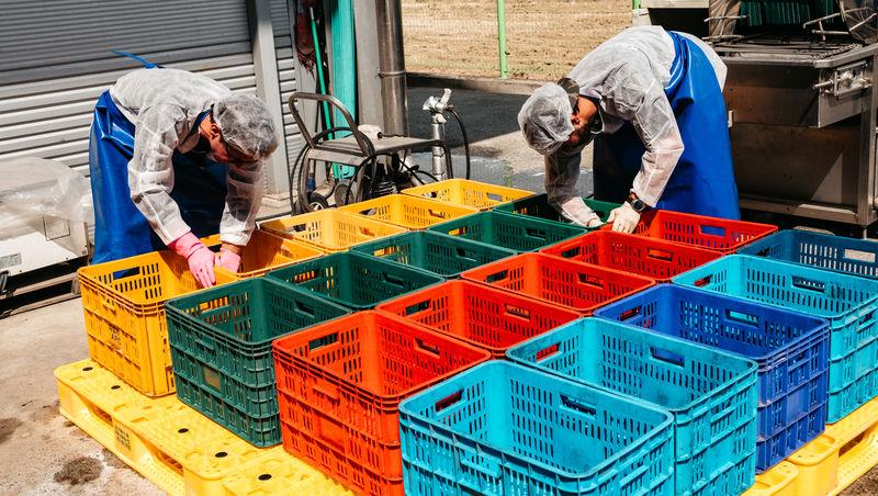 Asia Express sezonul 8, 4 noiembrie 2025. Ce veste au primit concurenții de la Irina Fodor în timp ce își căutau cazare: „Nu cred”