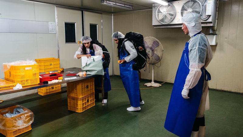 Asia Express sezonul 8, 4 noiembrie 2025. Ce veste au primit concurenții de la Irina Fodor în timp ce își căutau cazare: „Nu cred”