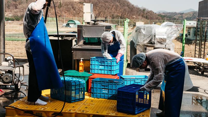 Asia Express sezonul 8, 4 noiembrie 2025. Ce veste au primit concurenții de la Irina Fodor în timp ce își căutau cazare: „Nu cred”