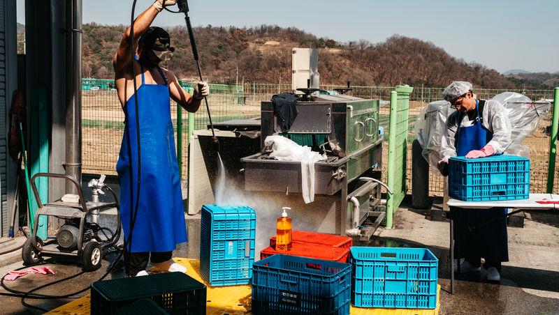 Asia Express sezonul 8, 4 noiembrie 2025. Ce veste au primit concurenții de la Irina Fodor în timp ce își căutau cazare: „Nu cred”