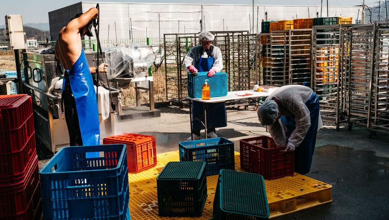 Asia Express sezonul 8, 4 noiembrie 2025. Ce veste au primit concurenții de la Irina Fodor în timp ce își căutau cazare: „Nu cred”