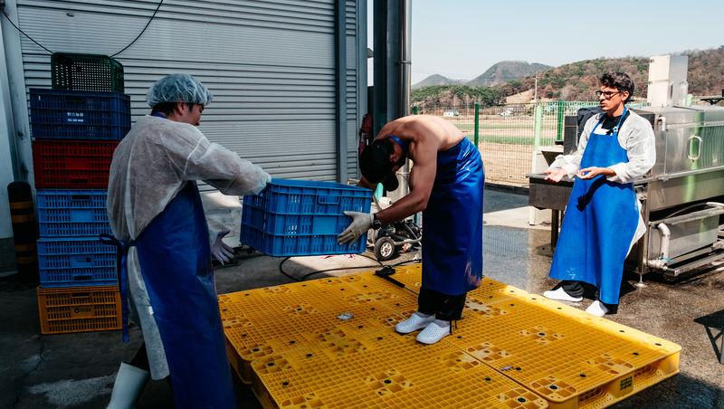 Asia Express sezonul 8, 4 noiembrie 2025. Ce veste au primit concurenții de la Irina Fodor în timp ce își căutau cazare: „Nu cred”