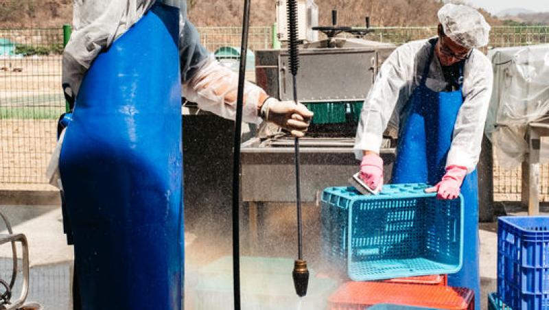 Asia Express sezonul 8, 4 noiembrie 2025. Alexandru Ion a răbufnit în timpul unei probe. Ce l-a enervat: „Ăsta face mișto de noi!”