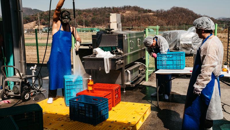 Asia Express sezonul 8, 4 noiembrie 2025. Alexandru Ion a răbufnit în timpul unei probe. Ce l-a enervat: „Ăsta face mișto de noi!”